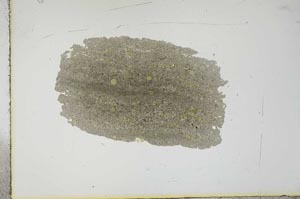 Plane Polarized, S16473