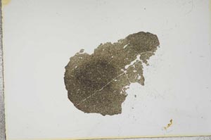 Plane Polarized, S16478