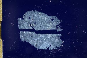 Cross Polarized, S16483