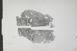 Plane Polarized, S16483
