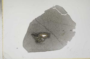 Plane Polarized, S16484