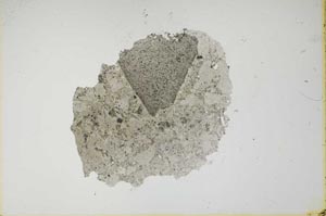 Plane Polarized, S16485