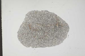 Plane Polarized, S16489