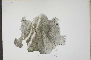 Plane Polarized, S16495