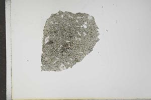Plane Polarized, S16497