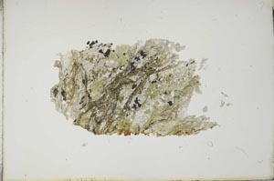 Plane Polarized, S16504