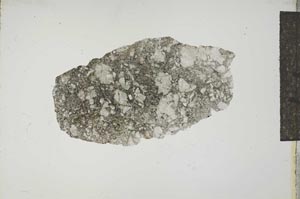 Plane Polarized, S16509