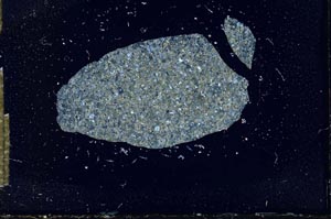 Cross Polarized, S16514