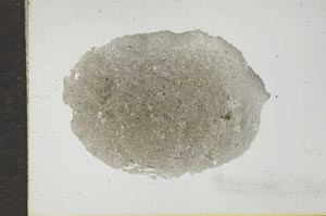 Plane Polarized, S16515