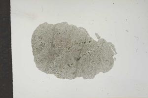 Plane Polarized, S16516