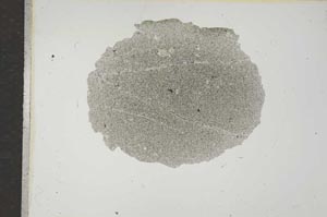 Plane Polarized, S16517