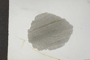 Plane Polarized, S16518