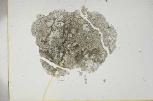 Plane Polarized, S16522