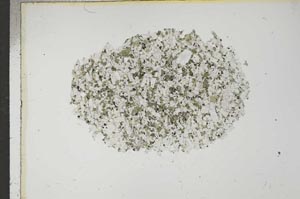 Plane Polarized, S16524