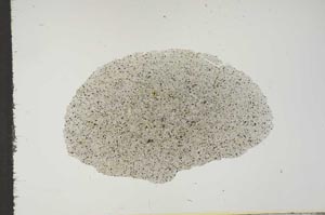 Plane Polarized, S16540