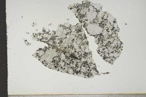 Plane Polarized, S16545