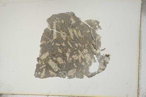 Plane Polarized, S16547