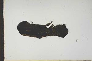 Plane Polarized, S16554
