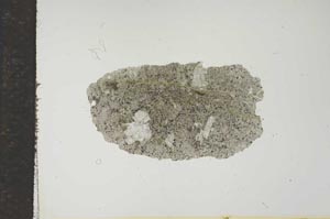 Plane Polarized, S16567