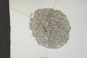 Plane Polarized, S16569