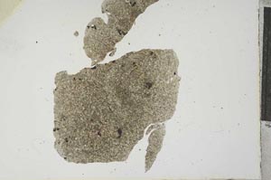 Plane Polarized, S16575