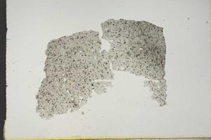 Plane Polarized, S16578