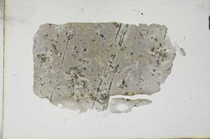 Plane Polarized, S16582