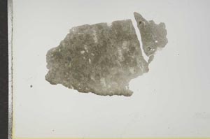 Plane Polarized, S16589