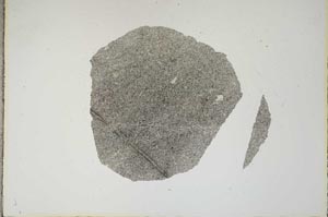 Plane Polarized, S16590