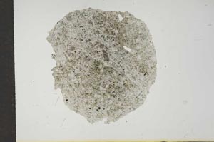 Plane Polarized, S16591