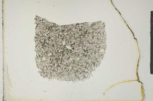 Plane Polarized, S16615