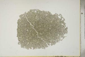 Plane Polarized, S16618