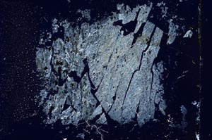 Cross Polarized, S16621