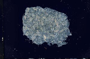 Cross Polarized, S16623