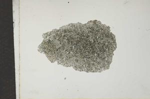 Plane Polarized, S16624