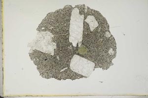 Plane Polarized, S16627