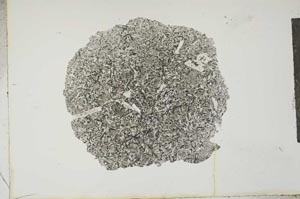 Plane Polarized, S16631