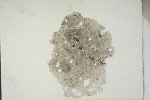 Plane Polarized, S16648