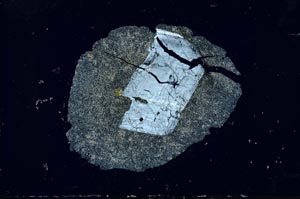 Cross Polarized, S16653