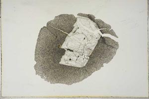 Plane Polarized, S16653