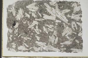 Plane Polarized, S16673/B