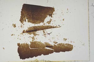 Plane Polarized, S16680