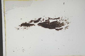 Plane Polarized, S16683/B