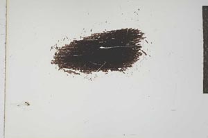 Plane Polarized, S16686
