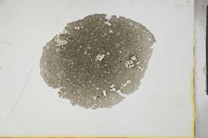 Plane Polarized, S16694