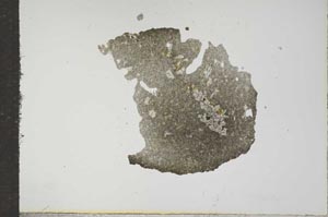 Plane Polarized, S16695