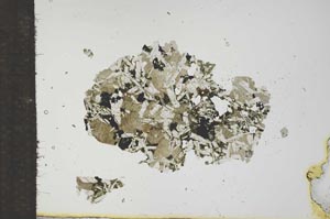 Plane Polarized, S16696