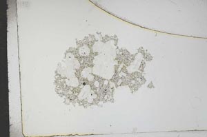 Plane Polarized, S16701