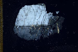 Cross Polarized, S16703