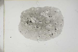 Plane Polarized, S16718